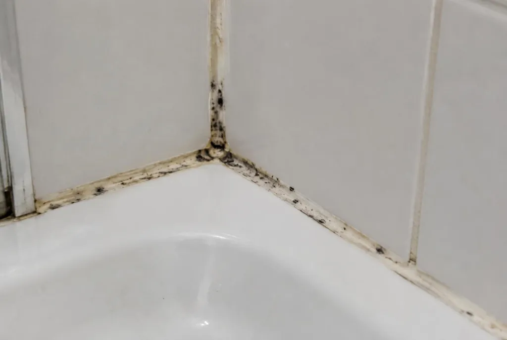 Kitbedrijf Soest – beschimmelde kitranden
